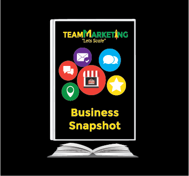 Team Business Snapshot