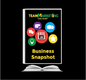 Team Business Snapshot